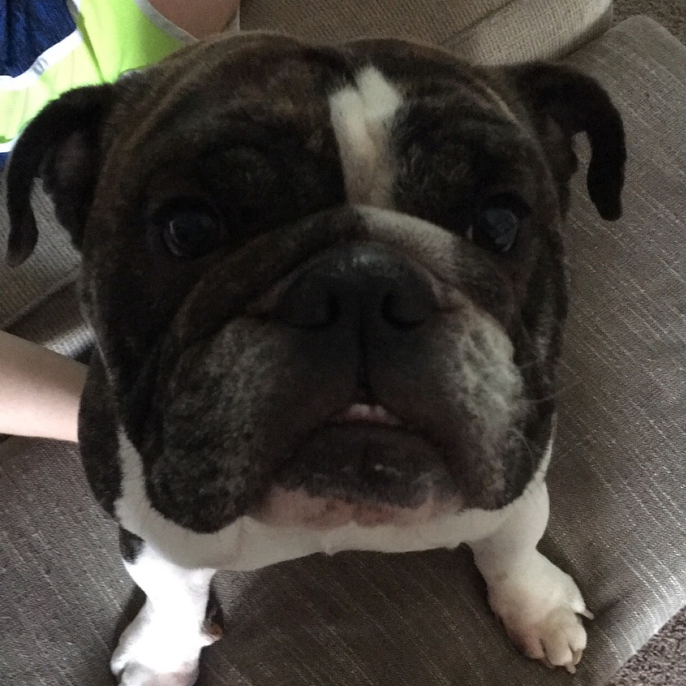 Meet your Posher, Hailey